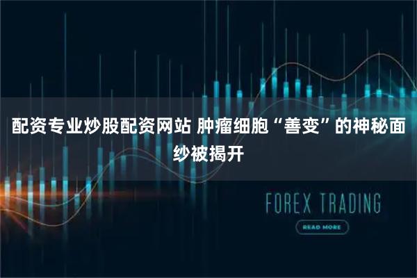 配资专业炒股配资网站 肿瘤细胞“善变”的神秘面纱被揭开