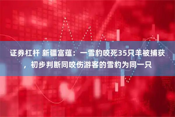 证券杠杆 新疆富蕴：一雪豹咬死35只羊被捕获，初步判断同咬伤游客的雪豹为同一只