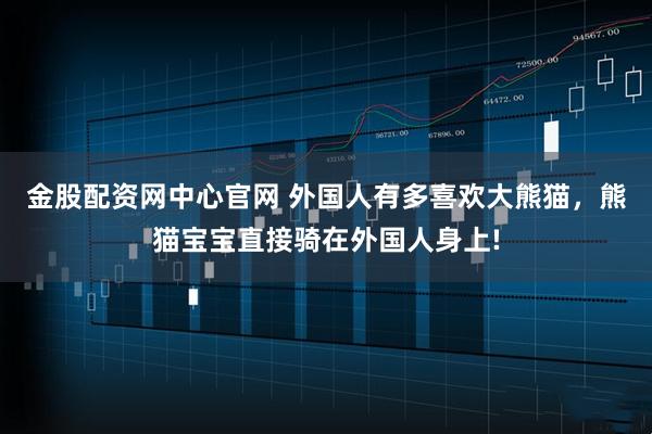 金股配资网中心官网 外国人有多喜欢大熊猫，熊猫宝宝直接骑在外国人身上!