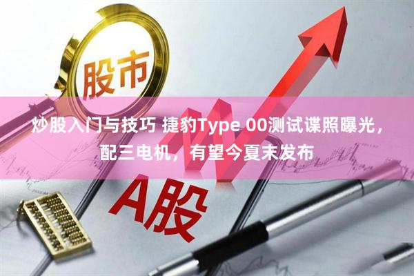 炒股入门与技巧 捷豹Type 00测试谍照曝光，配三电机，有望今夏末发布