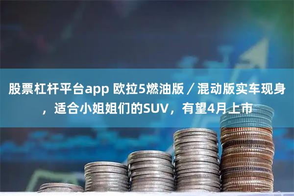 股票杠杆平台app 欧拉5燃油版／混动版实车现身，适合小姐姐们的SUV，有望4月上市