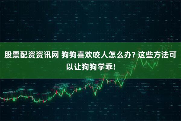 股票配资资讯网 狗狗喜欢咬人怎么办? 这些方法可以让狗狗学乖!