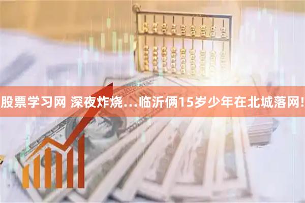 股票学习网 深夜炸烧…临沂俩15岁少年在北城落网!