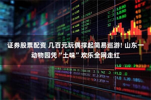 证券股票配资 几百元玩偶撑起简易巡游! 山东一动物园凭“土味”欢乐全网走红